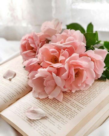 شعر عکس - ۴۰ تصویر چهارم [با کیفیت اصلی]