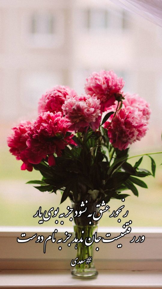 شعر عکس - رنجور عشق به نشود جز به بوی یار - ور رفتنیست جان ندهد جز به نام دوست