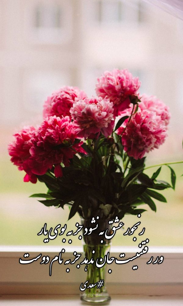 شعر عکس - رنجور عشق به نشود جز به بوی یار - ور رفتنیست جان ندهد جز به نام دوست