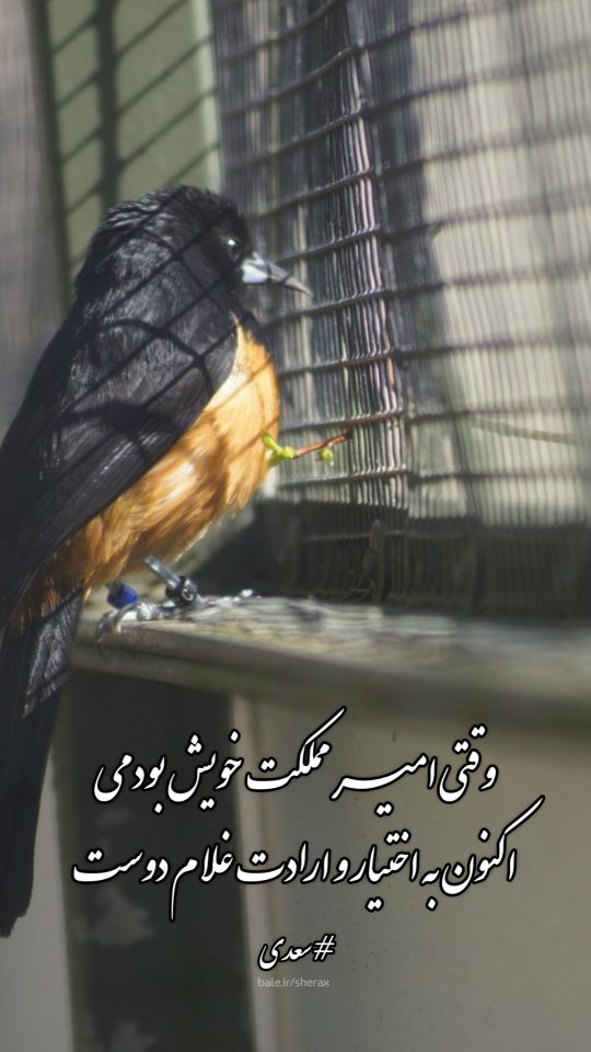 شعر عکس - وقتی امیر مملکت خویش بودمی - اکنون به اختیار و ارادت غلام دوست