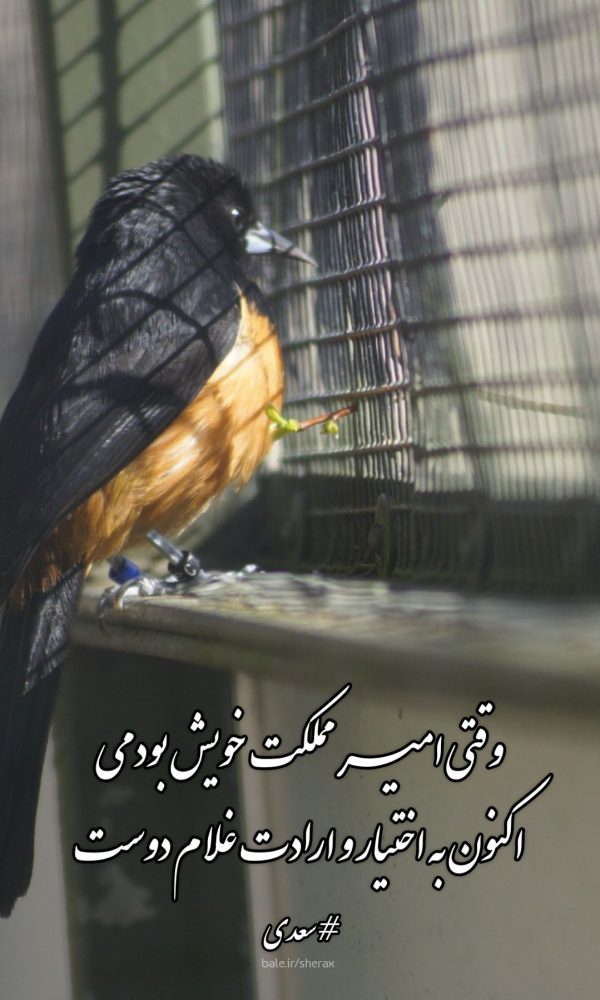 شعر عکس - وقتی امیر مملکت خویش بودمی - اکنون به اختیار و ارادت غلام دوست