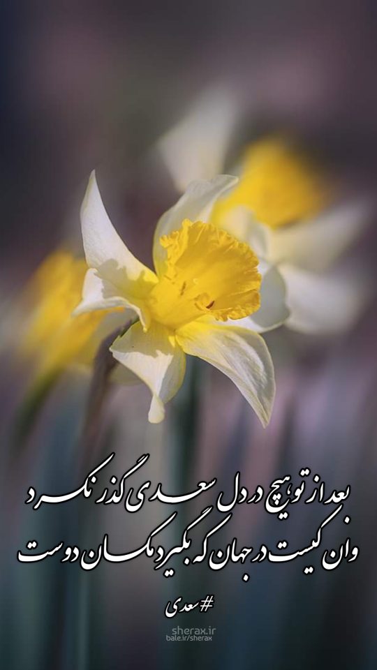 شعر عکس - بعد از تو هیچ در دل سعدی گذر نکرد - وان کیست در جهان که بگیرد مکان دوست