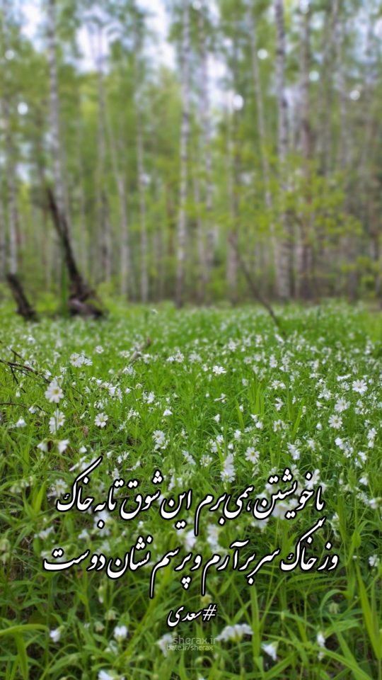 شعر عکس - با خویشتن همی‌برم این شوق تا به خاک - وز خاک سر برآرم و پرسم نشان دوست