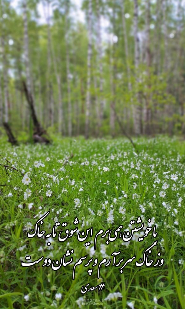 شعر عکس - با خویشتن همی‌برم این شوق تا به خاک - وز خاک سر برآرم و پرسم نشان دوست