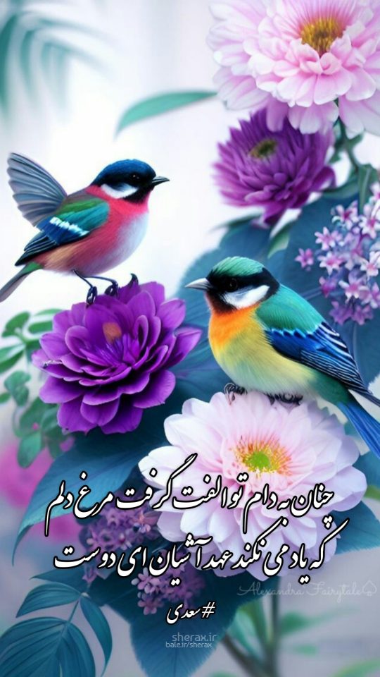 شعر عکس - چنان به دام تو الفت گرفت مرغ دلم - که یاد می‌نکند عهد آشیان ای دوست