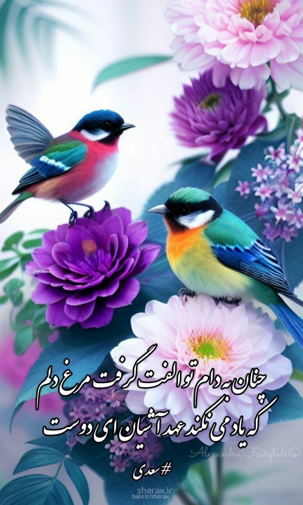 شعر عکس - چنان به دام تو الفت گرفت مرغ دلم - که یاد می‌نکند عهد آشیان ای دوست