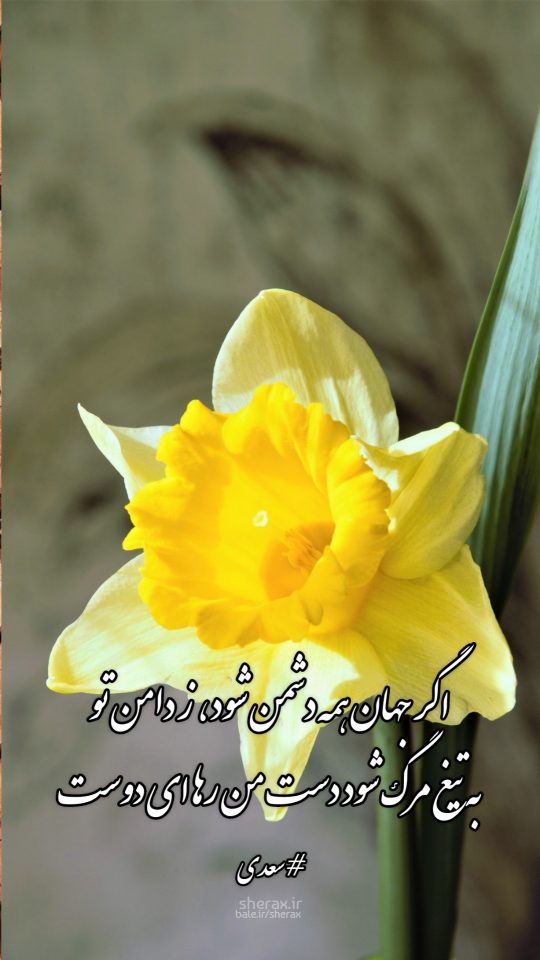 شعر عکس - اگر جهان همه دشمن شود، ز دامن تو - به تیغ مرگ شود دست من رها ای دوست