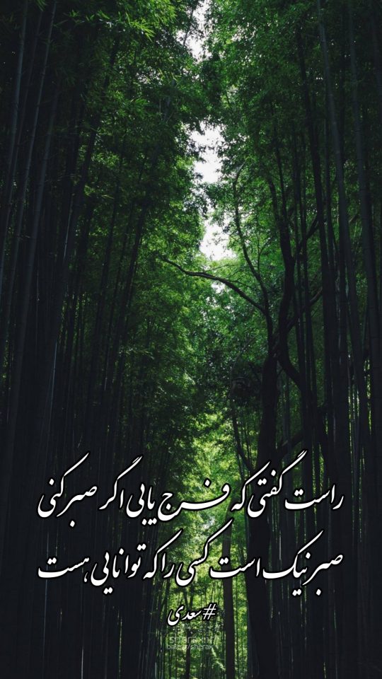 شعر عکس - راست گفتی که فرج یابی اگر صبر کنی - صبر نیک است کسی را که توانایی هست