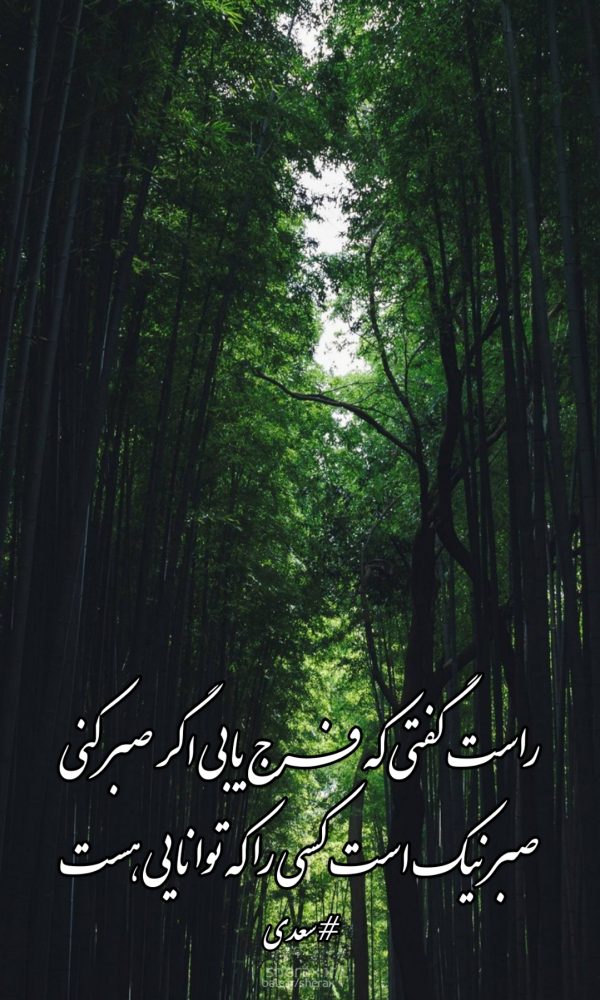 شعر عکس - راست گفتی که فرج یابی اگر صبر کنی - صبر نیک است کسی را که توانایی هست