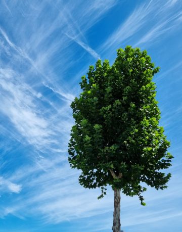 شعر عکس - ۴۰ تصویر ششم [با کیفیت اصلی]