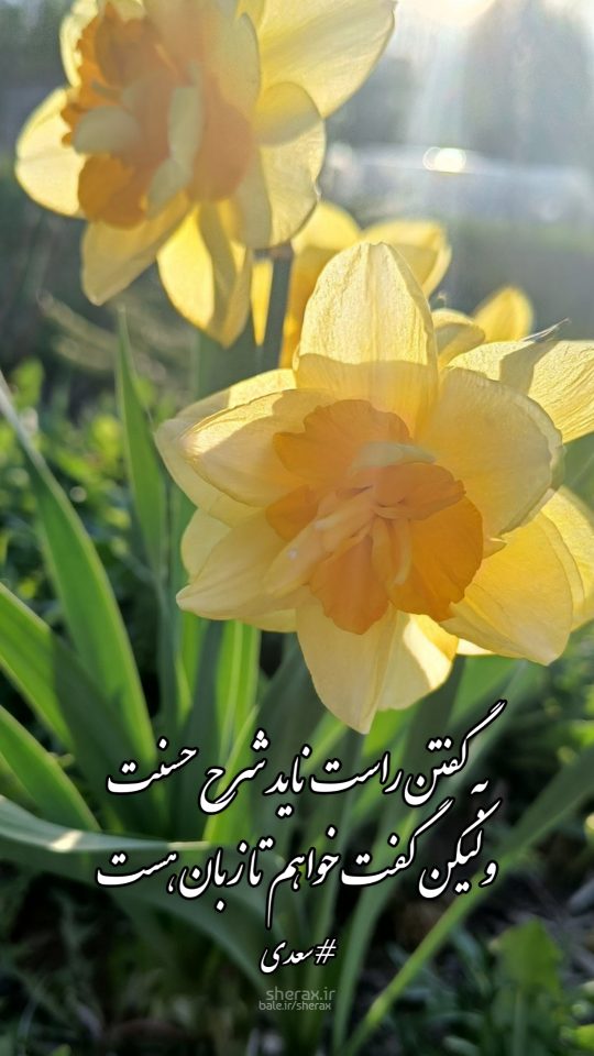 شعر عکس - به گفتن راست ناید شرح حسنت - ولیکن گفت خواهم تا زبان هست