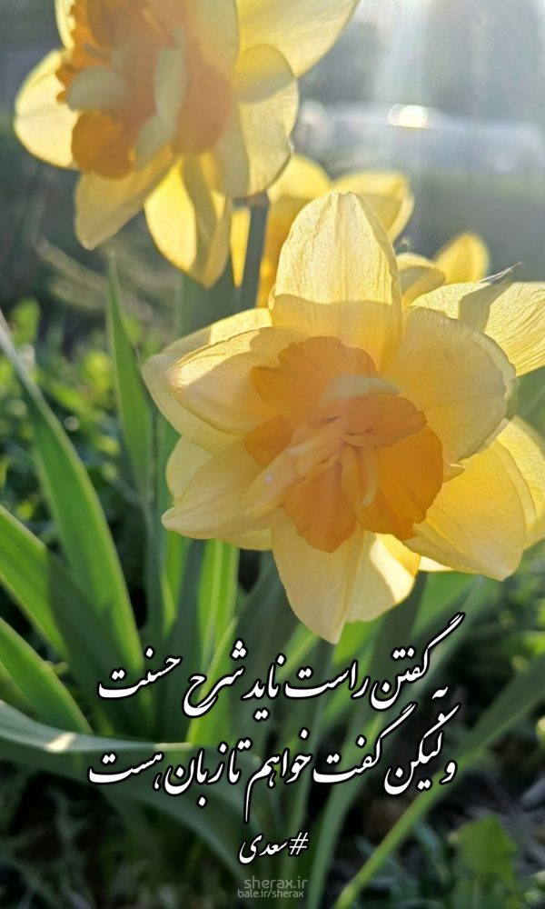 شعر عکس - به گفتن راست ناید شرح حسنت - ولیکن گفت خواهم تا زبان هست