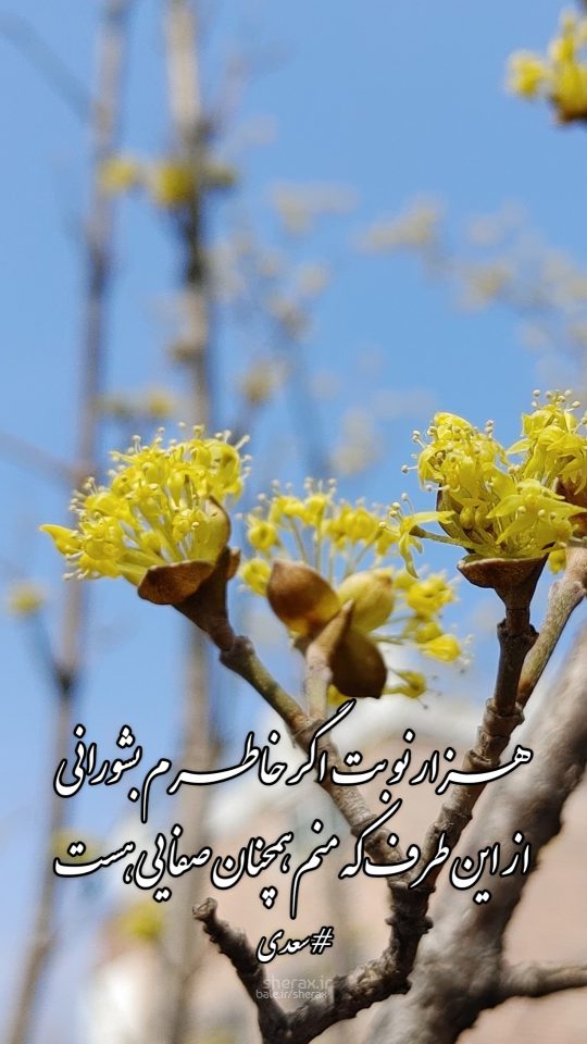 شعر عکس - هزار نوبت اگر خاطرم بشورانی - از این طرف که منم همچنان صفایی هست