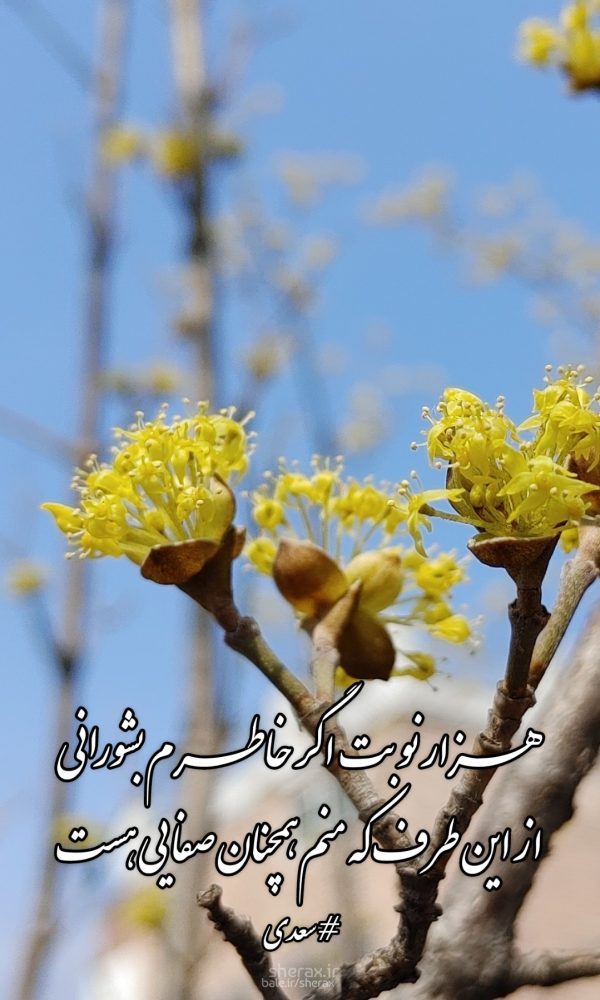 شعر عکس - هزار نوبت اگر خاطرم بشورانی - از این طرف که منم همچنان صفایی هست