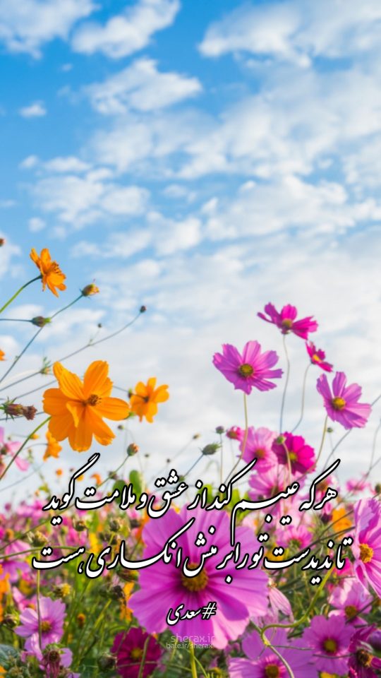 شعر عکس - هر که عیبم کند از عشق و ملامت گوید - تا ندیدست تو را بر منش انکاری هست