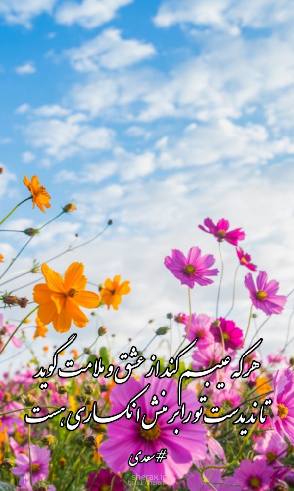 شعر عکس - هر که عیبم کند از عشق و ملامت گوید - تا ندیدست تو را بر منش انکاری هست