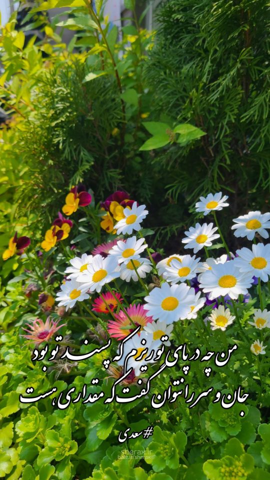 شعر عکس - من چه در پای تو ریزم که پسند تو بود - جان و سر را نتوان گفت که مقداری هست