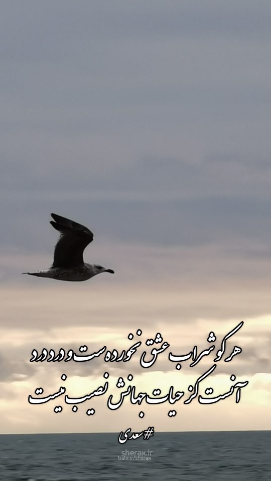 شعر عکس - هر کو شراب عشق نخورده‌ست و دُرد درد - آنست کز حیات جهانش نصیب نیست