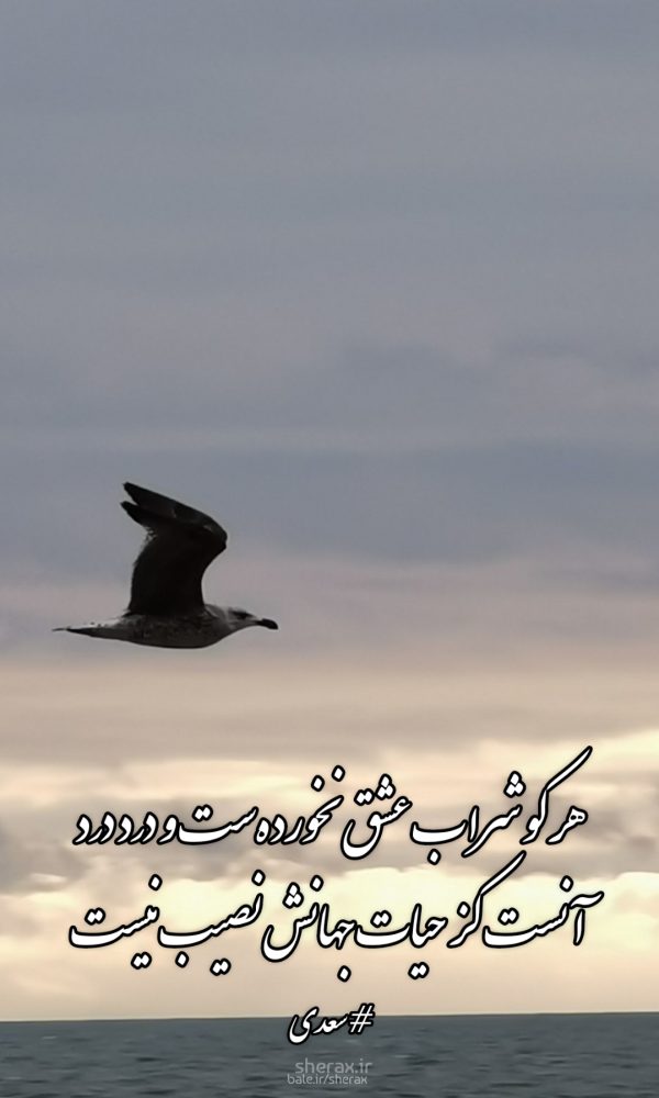 شعر عکس - هر کو شراب عشق نخورده‌ست و دُرد درد - آنست کز حیات جهانش نصیب نیست