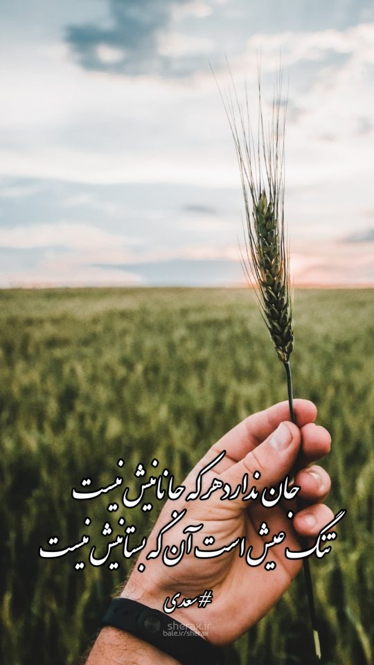 شعر عکس - جان ندارد هر که جانانیش نیست - تنگ عیش است آن که بستانیش نیست