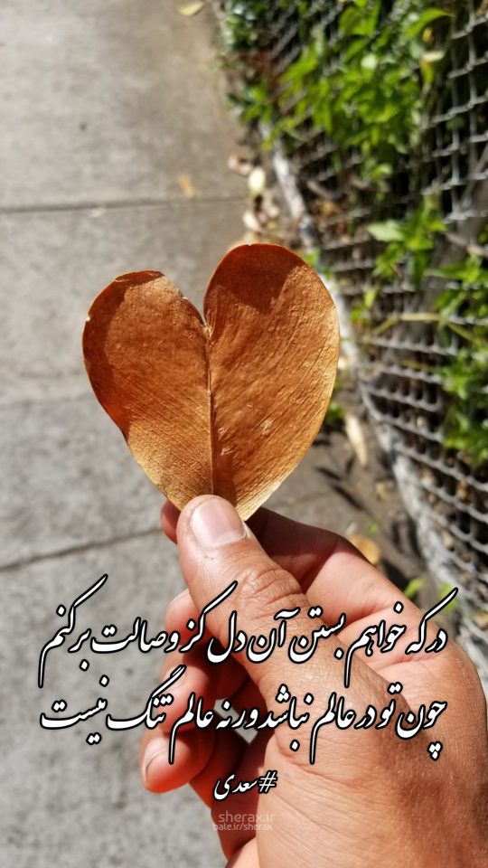 شعر عکس - در که خواهم بستن آن دل کز وصالت برکنم - چون تو در عالم نباشد ور نه عالم تنگ نیست