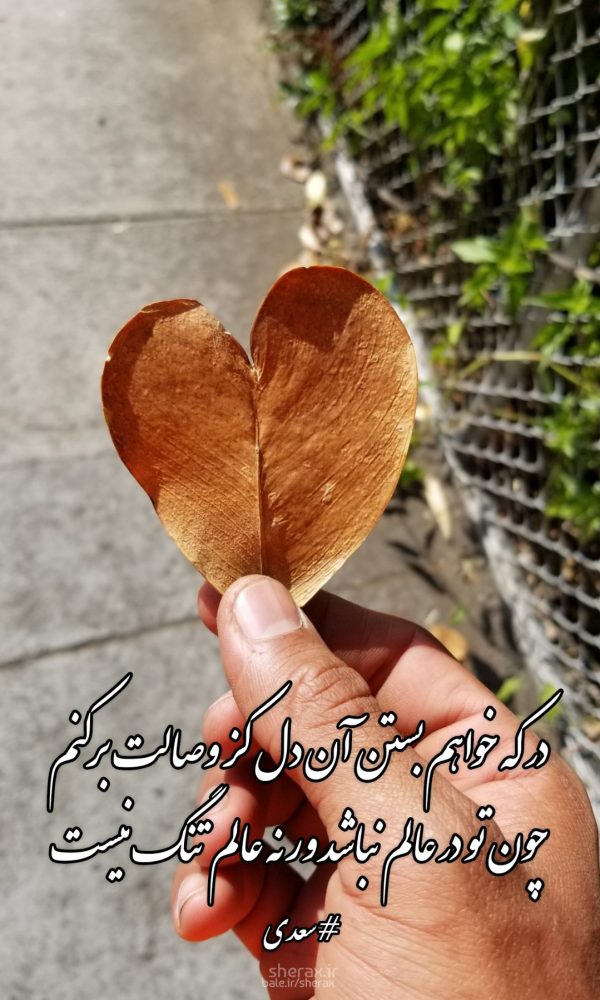 شعر عکس - در که خواهم بستن آن دل کز وصالت برکنم - چون تو در عالم نباشد ور نه عالم تنگ نیست