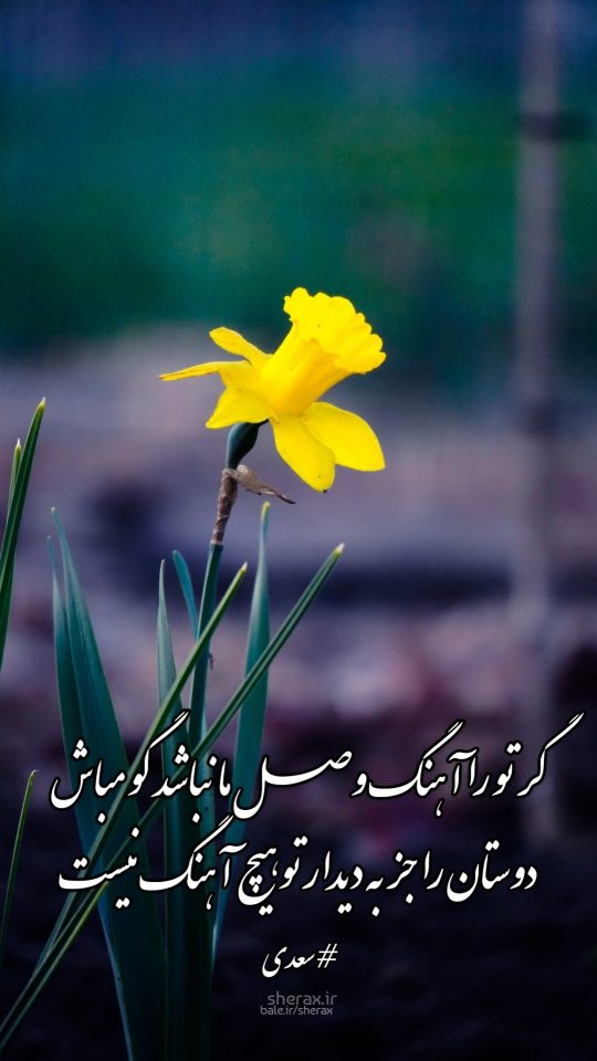 شعر عکس - گر تو را آهنگ وصل ما نباشد گو مباش - دوستان را جز به دیدار تو هیچ آهنگ نیست