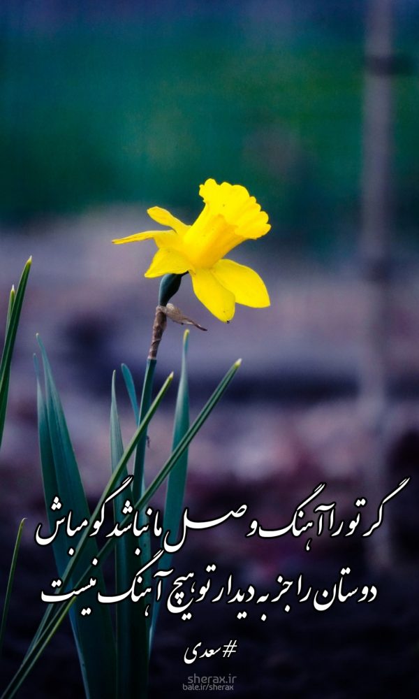 شعر عکس - گر تو را آهنگ وصل ما نباشد گو مباش - دوستان را جز به دیدار تو هیچ آهنگ نیست