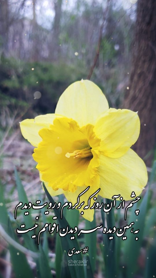 شعر عکس - چشم از آن روز که برکردم و رویت دیدم - به همین دیده سر دیدن اقوامم نیست