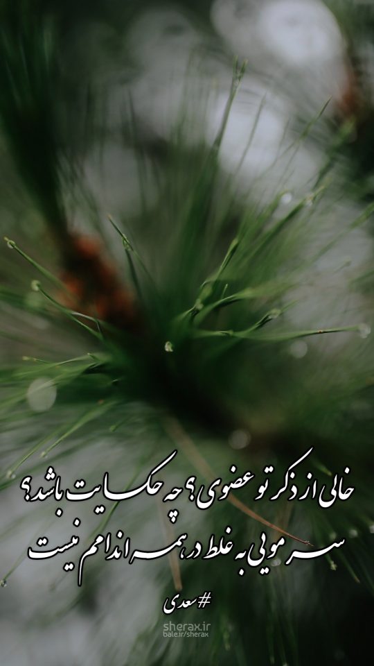 شعر عکس - خالی از ذکر تو عضوی؟ چه حکایت باشد؟ - سر مویی به غلط در همه اندامم نیست