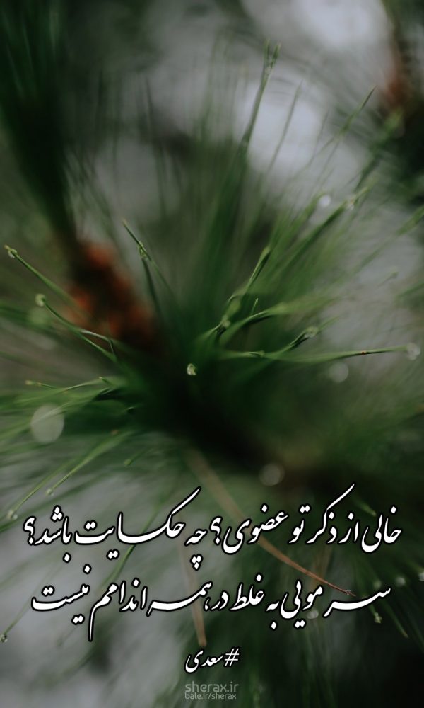 شعر عکس - خالی از ذکر تو عضوی؟ چه حکایت باشد؟ - سر مویی به غلط در همه اندامم نیست