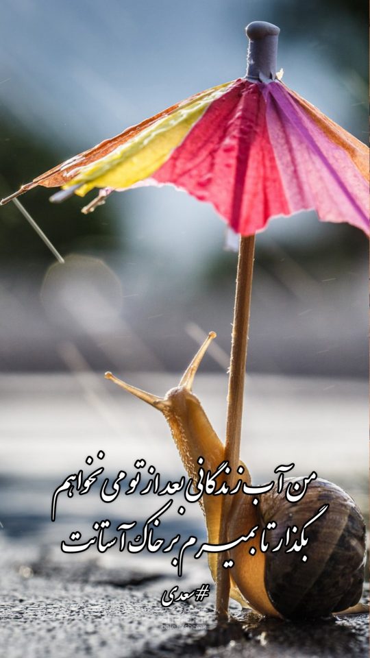 شعر عکس - من آب زندگانی بعد از تو می‌نخواهم - بگذار تا بمیرم بر خاک آستانت