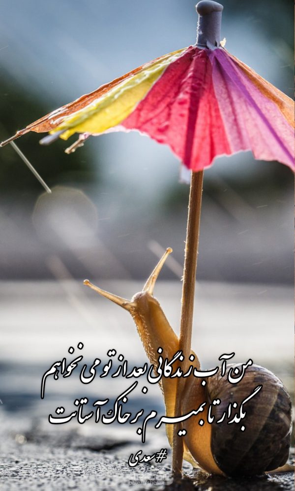 شعر عکس - من آب زندگانی بعد از تو می‌نخواهم - بگذار تا بمیرم بر خاک آستانت