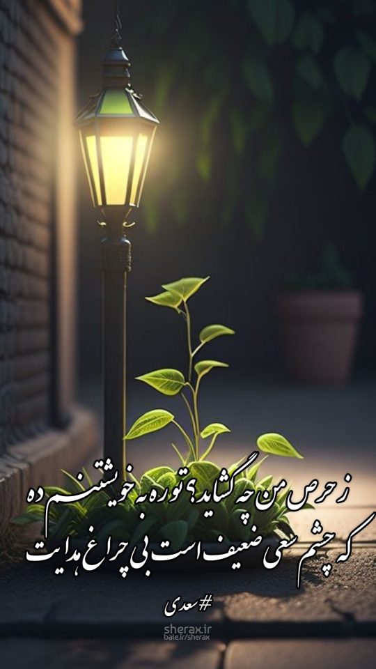 شعر عکس - ز حرص من چه گشاید؟ تو ره به خویشتنم ده - که چشم سعی ضعیف است بی چراغ هدایت