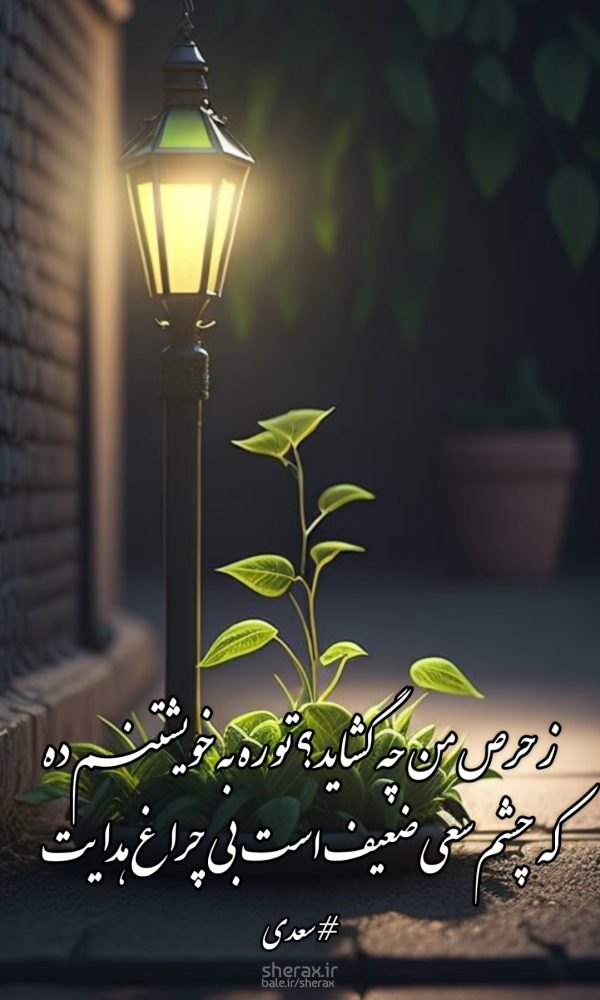 شعر عکس - ز حرص من چه گشاید؟ تو ره به خویشتنم ده - که چشم سعی ضعیف است بی چراغ هدایت