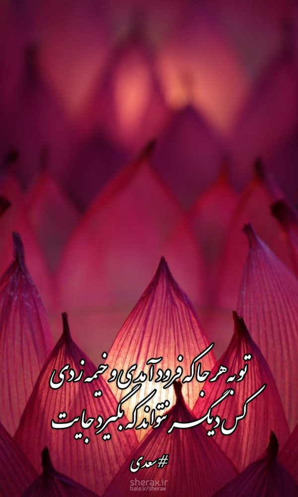 شعر عکس - تو به هر جا که فرود آمدی و خیمه زدی - کس دیگر نتواند که بگیرد جایت
