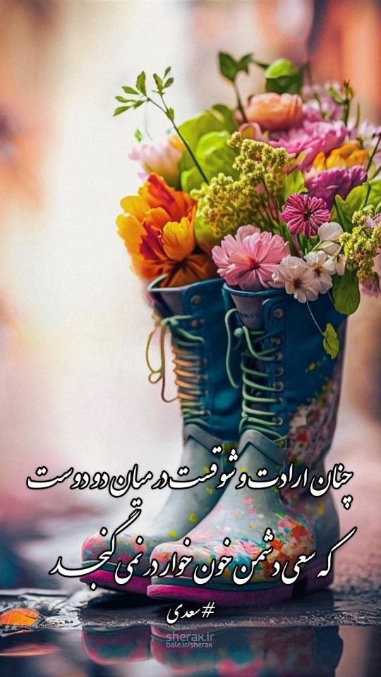 شعر عکس - چنان ارادت و شوقست در میان دو دوست - که سعی دشمن خون خوار در نمی‌گنجد