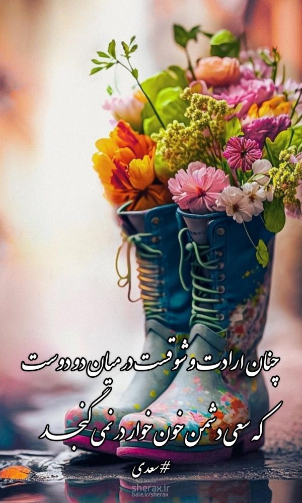 شعر عکس - چنان ارادت و شوقست در میان دو دوست - که سعی دشمن خون خوار در نمی‌گنجد
