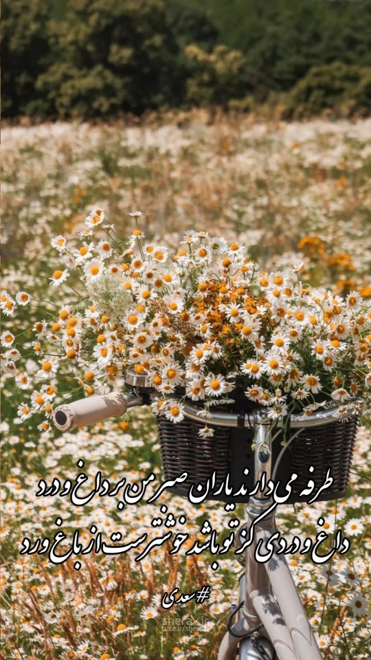 شعر عکس - طرفه می‌دارند یاران صبر من بر داغ و درد - داغ و دردی کز تو باشد خوشترست از باغ ورد