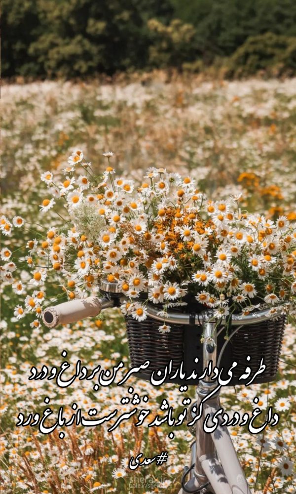 شعر عکس - طرفه می‌دارند یاران صبر من بر داغ و درد - داغ و دردی کز تو باشد خوشترست از باغ ورد
