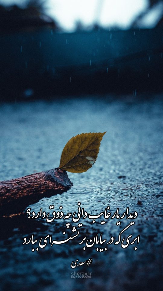 شعر عکس - دیدار یار غایب دانی چه ذوق دارد؟ - ابری که در بیابان بر تشنه‌ای ببارد