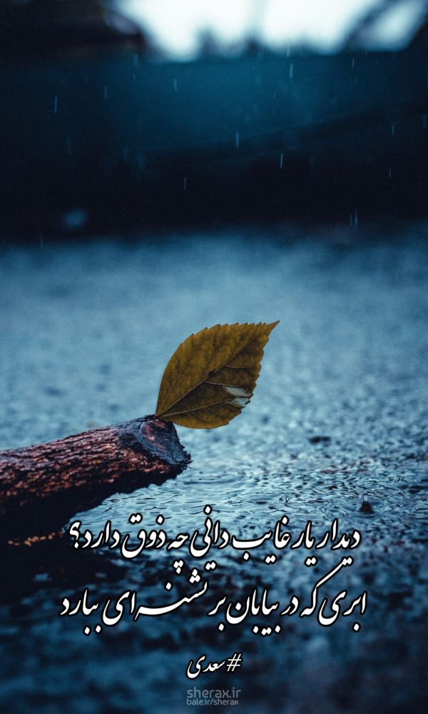 شعر عکس - دیدار یار غایب دانی چه ذوق دارد؟ - ابری که در بیابان بر تشنه‌ای ببارد