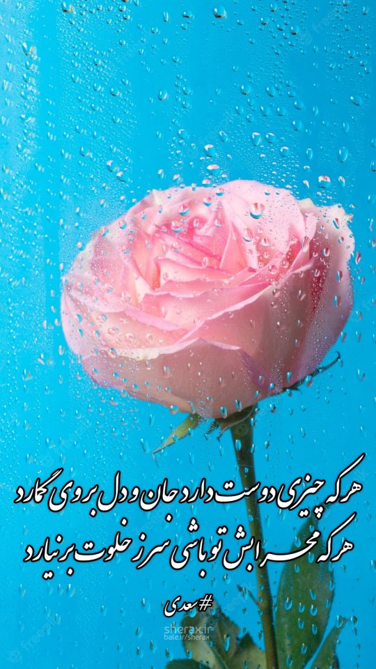 شعر عکس - هر که چیزی دوست دارد جان و دل بر وی گمارد - هر که محرابش تو باشی سر ز خلوت برنیارد