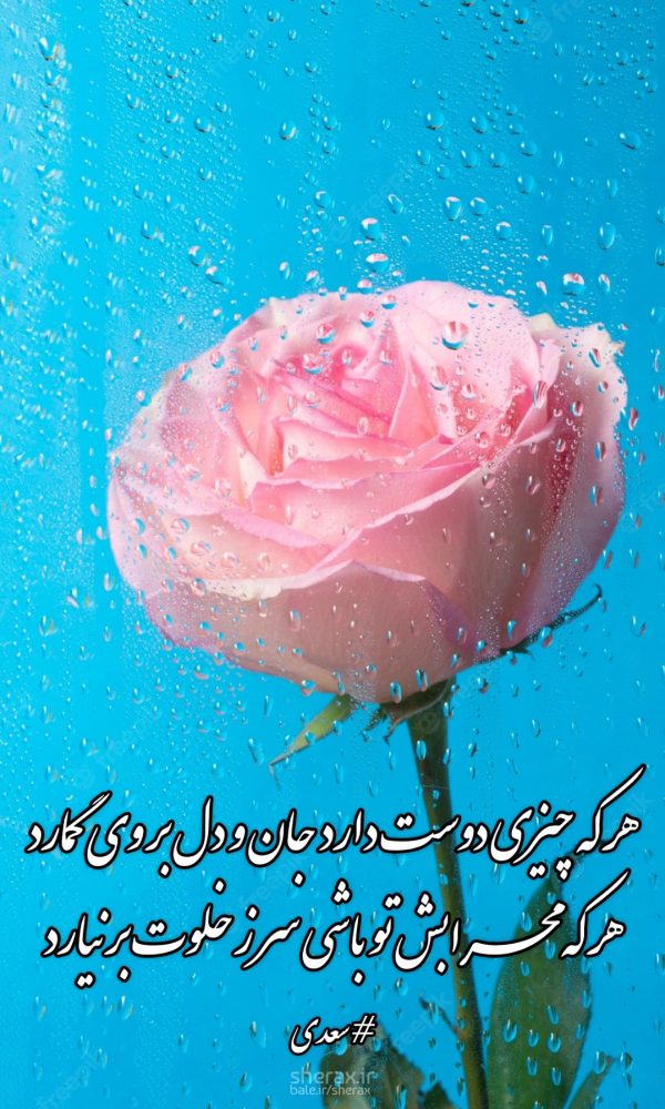 شعر عکس - هر که چیزی دوست دارد جان و دل بر وی گمارد - هر که محرابش تو باشی سر ز خلوت برنیارد