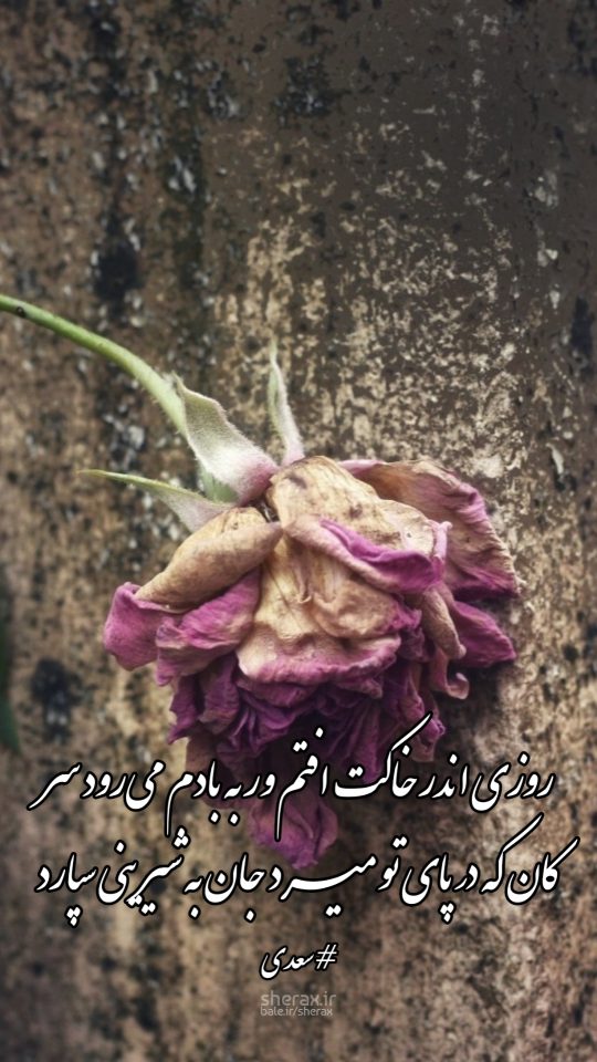 شعر عکس - روزی اندر خاکت افتم ور به بادم می‌رود سر - کان که در پای تو میرد جان به شیرینی سپارد