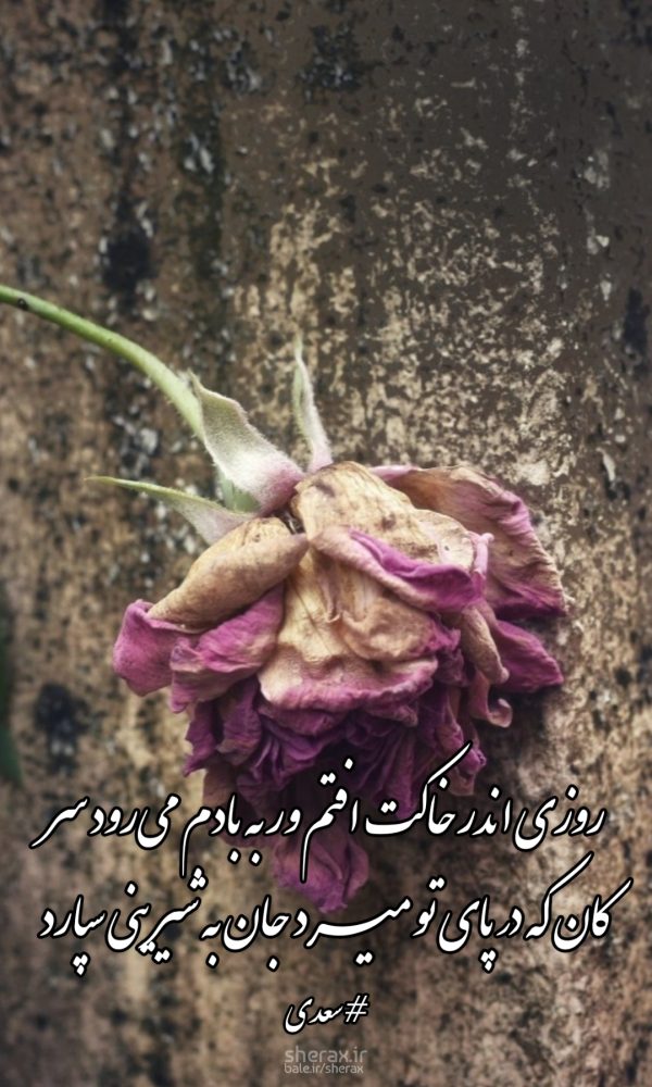 شعر عکس - روزی اندر خاکت افتم ور به بادم می‌رود سر - کان که در پای تو میرد جان به شیرینی سپارد
