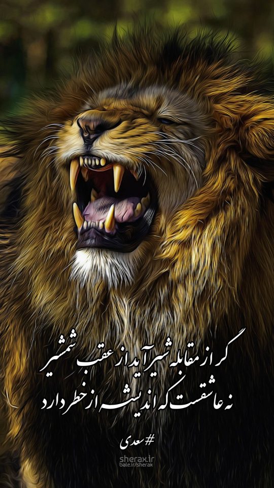 شعر عکس - گر از مقابله شیر آید از عقب شمشیر - نه عاشقست که اندیشه از خطر دارد