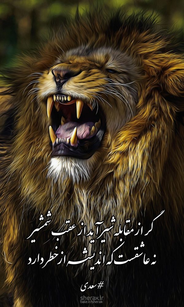شعر عکس - گر از مقابله شیر آید از عقب شمشیر - نه عاشقست که اندیشه از خطر دارد