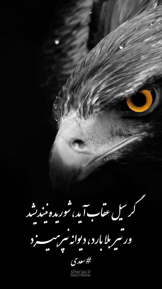 شعر عکس - گر سیل عقاب آید شوریده نیندیشد - ور تیر بلا بارد دیوانه نپرهیزد