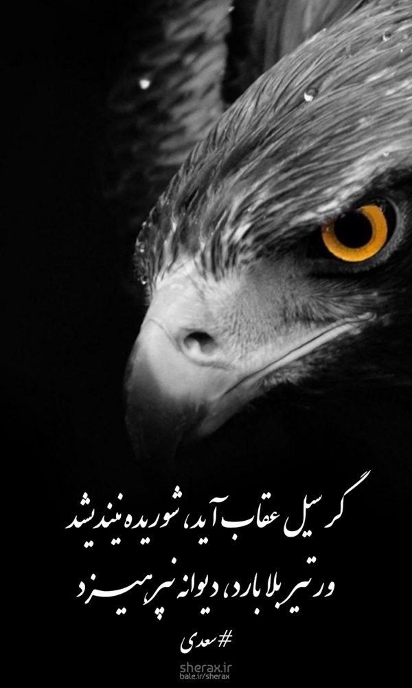 شعر عکس - گر سیل عقاب آید شوریده نیندیشد - ور تیر بلا بارد دیوانه نپرهیزد